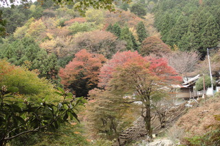 DSC04815.JPG