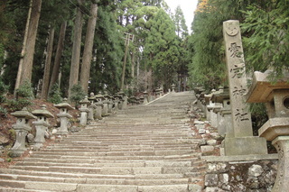 DSC04827.JPG