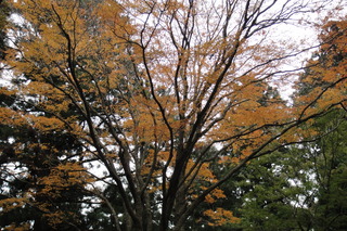 DSC04832.JPG