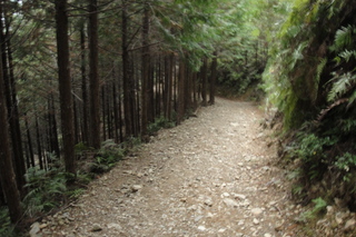 DSC04833.JPG