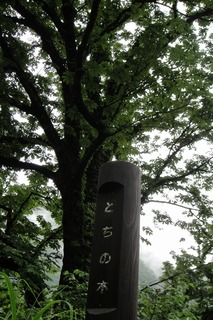 DSC07759.jpg